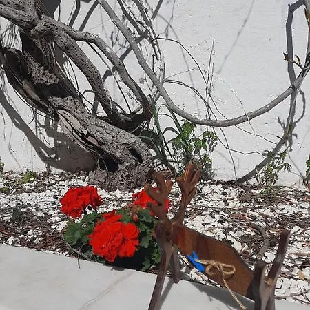 Moon & Sun Seferihisar